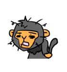 Monkey Day（個別スタンプ：15）