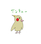 鳥いそぎスタンプで返信できます。（個別スタンプ：3）