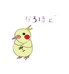 鳥いそぎスタンプで返信できます。（個別スタンプ：20）