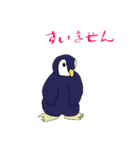 鳥いそぎスタンプで返信できます。（個別スタンプ：29）