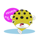 FAT FISHO（個別スタンプ：40）