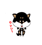 Feelings of Shiba Inu HOTARU（個別スタンプ：1）