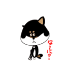 Feelings of Shiba Inu HOTARU（個別スタンプ：2）