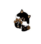 Feelings of Shiba Inu HOTARU（個別スタンプ：5）