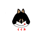 Feelings of Shiba Inu HOTARU（個別スタンプ：7）