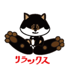 Feelings of Shiba Inu HOTARU（個別スタンプ：9）