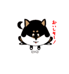Feelings of Shiba Inu HOTARU（個別スタンプ：10）