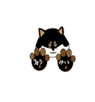 Feelings of Shiba Inu HOTARU（個別スタンプ：12）