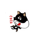 Feelings of Shiba Inu HOTARU（個別スタンプ：18）