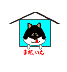Feelings of Shiba Inu HOTARU（個別スタンプ：19）