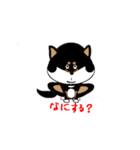 Feelings of Shiba Inu HOTARU（個別スタンプ：22）