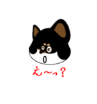 Feelings of Shiba Inu HOTARU（個別スタンプ：23）