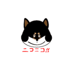 Feelings of Shiba Inu HOTARU（個別スタンプ：24）