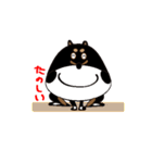 Feelings of Shiba Inu HOTARU（個別スタンプ：29）