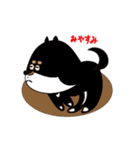 Feelings of Shiba Inu HOTARU（個別スタンプ：31）