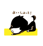 Feelings of Shiba Inu HOTARU（個別スタンプ：33）