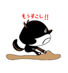 Feelings of Shiba Inu HOTARU（個別スタンプ：35）