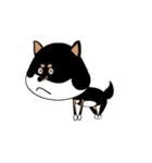 Feelings of Shiba Inu HOTARU（個別スタンプ：40）