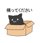 自由なクロネコ（個別スタンプ：31）