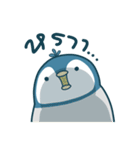 T-Chan Lovely Penguin（個別スタンプ：31）