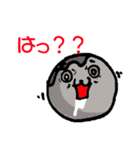 たこっちぃ（個別スタンプ：30）