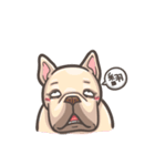 French Bulldog-PIGU II（個別スタンプ：13）