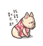 French Bulldog-PIGU II（個別スタンプ：21）