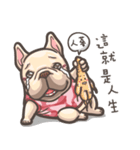 French Bulldog-PIGU II（個別スタンプ：31）