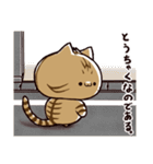 わがはいは、たびねこである。（個別スタンプ：6）