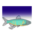 Aquariumstamp（個別スタンプ：9）