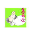 ゑびだる 縁起かついで（個別スタンプ：38）