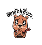 Bear Universe（個別スタンプ：6）
