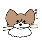 みるきーとまっしゅ2（個別スタンプ：5）