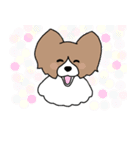 みるきーとまっしゅ2（個別スタンプ：19）