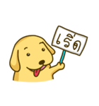 Alex the Golden（個別スタンプ：6）