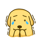 Alex the Golden（個別スタンプ：11）