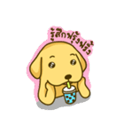 Alex the Golden（個別スタンプ：15）