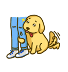 Alex the Golden（個別スタンプ：31）