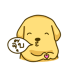 Alex the Golden（個別スタンプ：34）