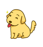 Alex the Golden（個別スタンプ：37）