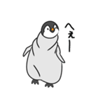 ぺぺペンギン（個別スタンプ：2）