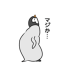 ぺぺペンギン（個別スタンプ：5）