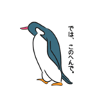 ぺぺペンギン（個別スタンプ：31）
