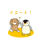 うさぺんスタンプ 2（個別スタンプ：31）