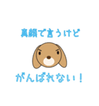 うさぺんスタンプ 2（個別スタンプ：36）