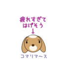 うさぺんスタンプ 2（個別スタンプ：37）
