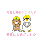 うさぺんスタンプ 2（個別スタンプ：40）