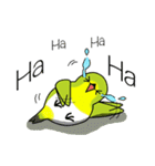 pupumimi (English)（個別スタンプ：13）