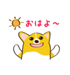 コーギーまめもちのスタンプ（個別スタンプ：1）