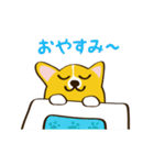 コーギーまめもちのスタンプ（個別スタンプ：3）
